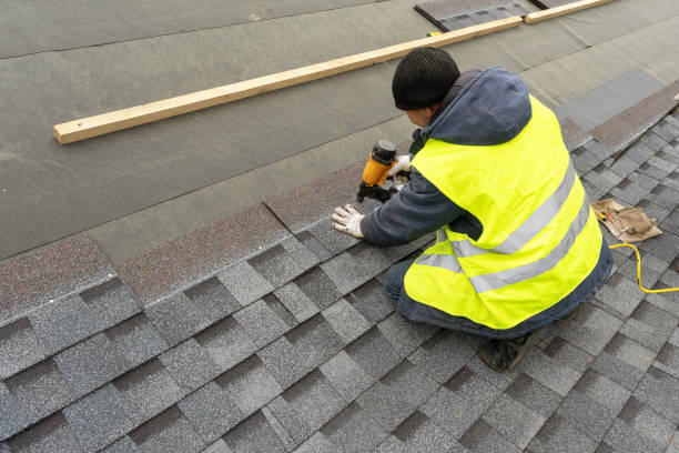 Best Roof Gutter Cleaning  in Leavenworth, KS