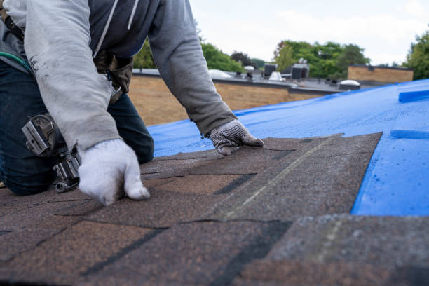 Professional Roofing Contractor in Leavenworth, KS